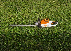 Stihl HSA 50 nożyce akumulatorowe na żywopłocie.