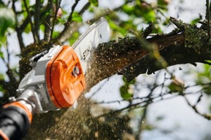 Podkrzesywarka akumulatorowa Stihl HTA 135 tnąca gałąź.