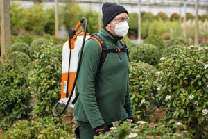 Osoba używająca Stihl SGA 85 Akumulatorowy opryskiwacz plecakowy w ogrodzie.