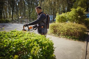 Mężczyzna przycina krzewy za pomocą nożyc akumulatorowych Stihl HSA 130 R, 60 cm.