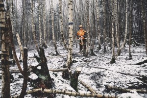 img (4).jpg