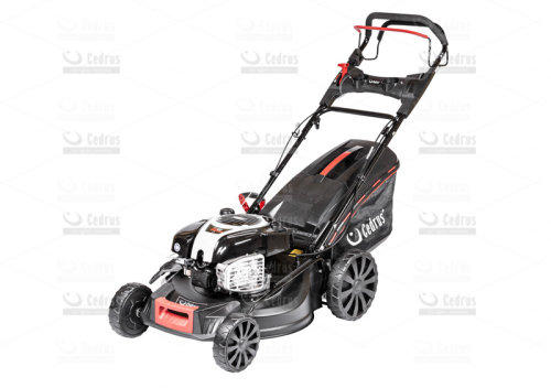 Kosiarka Cedrus KS53S-B z napędem SILNIK Briggs&Stratton CEDKS53S-B 
