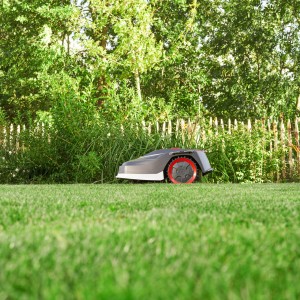 123034-robotic-lawnmower-robolinho-1300-w-webshop-mood-1.jpg