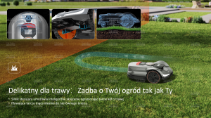 obraz6_16731.png
