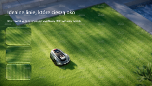 obraz7_16732.png