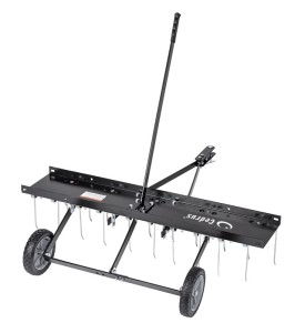 Cedrus Brona pazurowa 100 cm