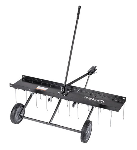 Cedrus Brona pazurowa 100 cm