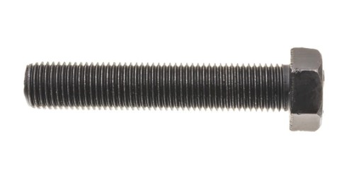 Śruba Cedrus M8x1x30 ZM02
