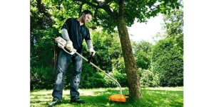 Mężczyzna używa Stihl FSE 60 Kosa elektryczna do koszenia trawy pod drzewem.