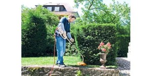 Mężczyzna pracujący w ogrodzie przy użyciu Stihl FSE 71 Kosa elektryczna.