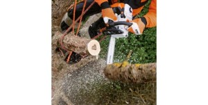Stihl MS 201 TC-M Pilarka spalinowa podczas cięcia gałęzi.