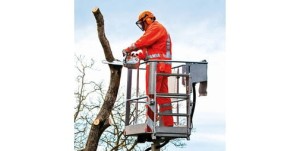 Pracownik w podnośniku używa pilarki Stihl MS 201 TC-M do pielęgnacji drzew.