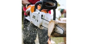 Pilarka akumulatorowa Stihl MSA 160 C-B tnąca drewno.
