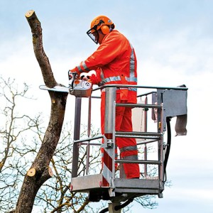 Pracownik na podnośniku używający Stihl MS 201 TC-M Pilarka spalinowa do pielęgnacji drzew.