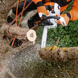 Stihl MS 201 TC-M Pilarka spalinowa w akcji przy cięciu drzewa.