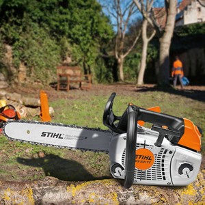 Stihl MS 201 TC-M Pilarka spalinowa, mocna pilarka do pielęgnacji drzew.
