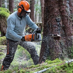 Stihl MS 462 C-M Pilarka spalinowa podczas pracy w lesie.