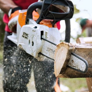 Stihl MSA 160 C-B Pilarka akumulatorowa podczas cięcia drewna.