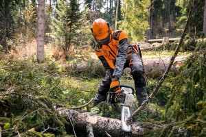 Pracownik lasu używa pilarki spalinowej Stihl MS 462 C-M VW z podgrzewanym uchwytem i gaźnikiem do cięcia drzewa.