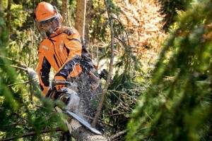 Pracownik leśny korzystający z pilarki Stihl MS 462 w trakcie wycinki drzewa.