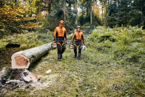 Pracownicy leśni niosący Stihl MS 261 C-M VW Pilarka spalinowa w lesie.