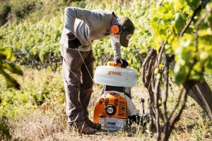 Pracownik używa Stihl SR 450 Opryskiwacz uniwersalny spalinowy, 14l w winnicy.