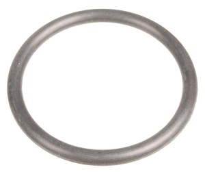 Uszczelniacz Cedrus o-ring pompa PS60-3 PS100-4